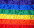 Image thumbnail of LGBTIQA+ Human Rights Network