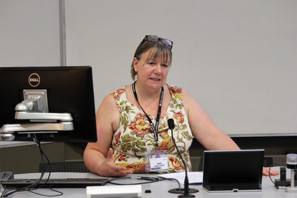 Professor Sue Ellis